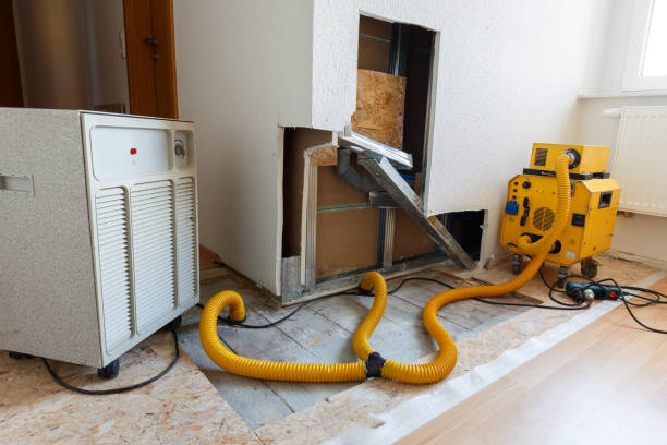 Best Mold Odor Removal Services  in Ashburn, VA